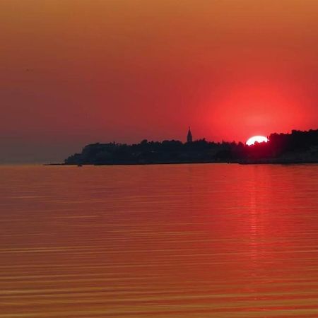 Apartment Novigrad City Centre Esterno foto